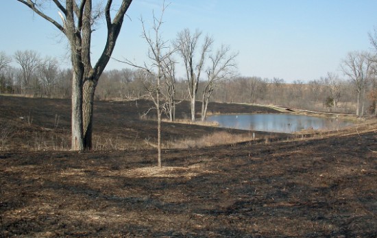 CEC pond 2 - early spring - prairie burn